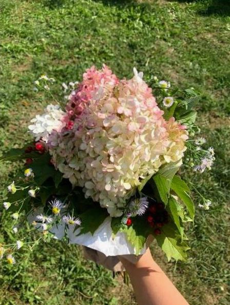Everwondered flowers